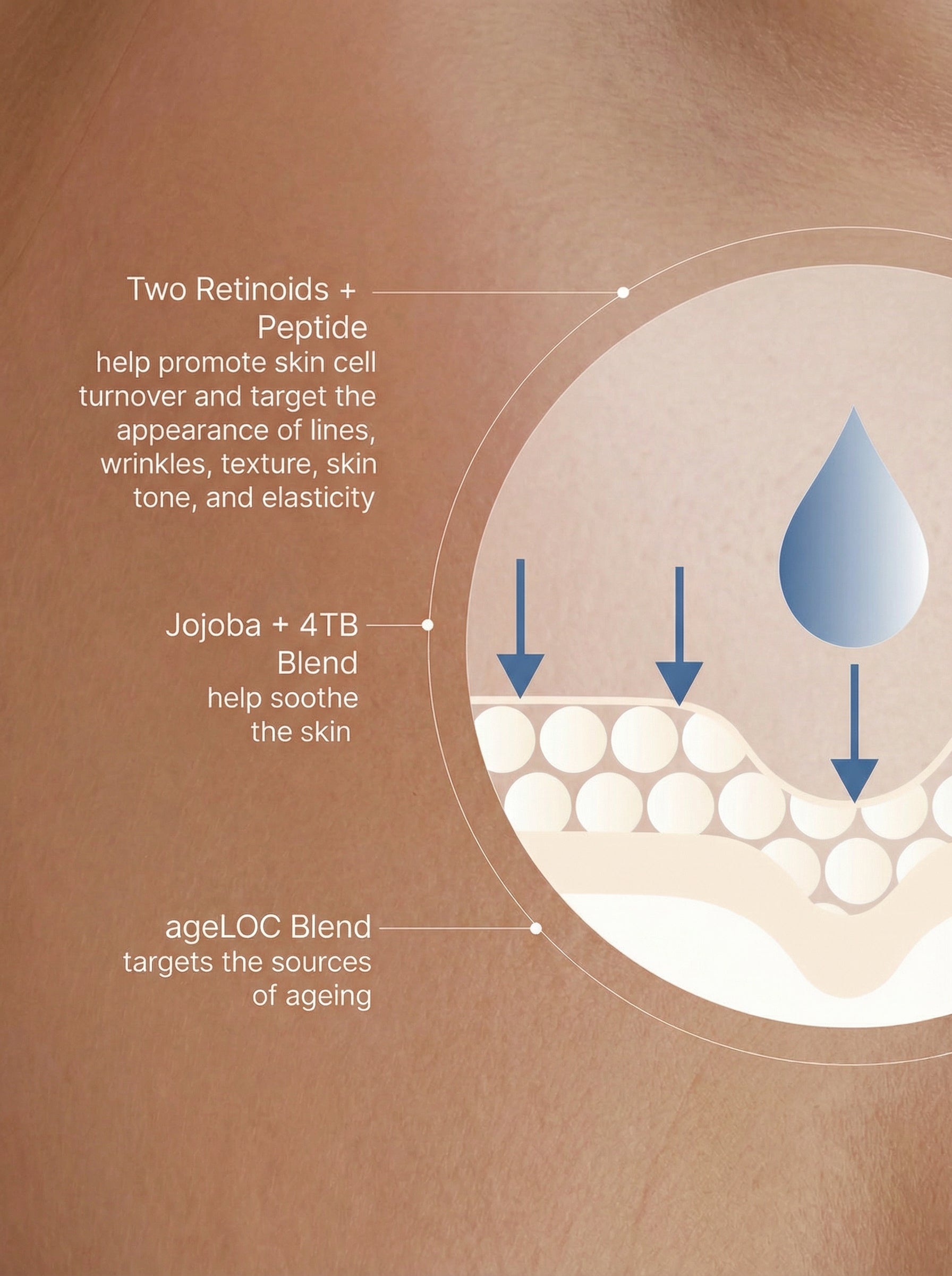 ageLOC® Tru Face® Peptide Retinol Complex